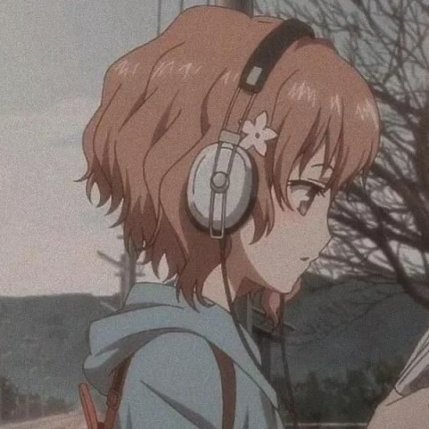 主播哇哇