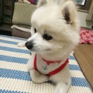 布丁草莓的妈妈