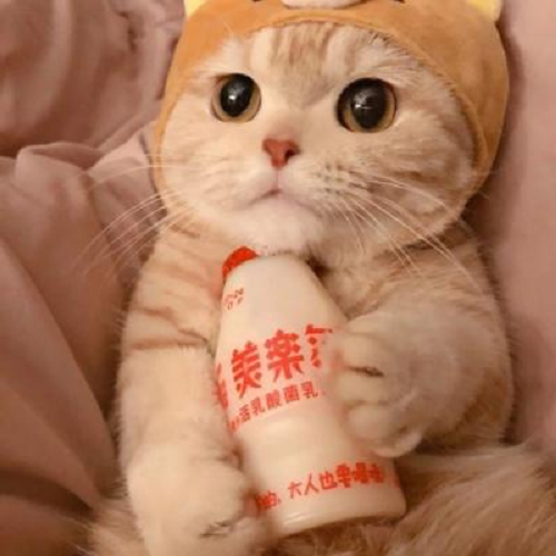 八喜3599870