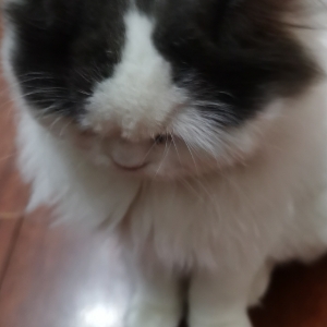懒人770206012