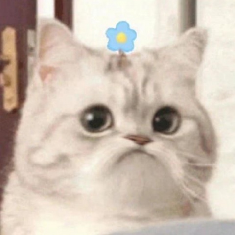 哒啦滴答啦