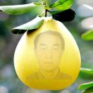懒人773438537