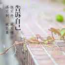 懒人774220296