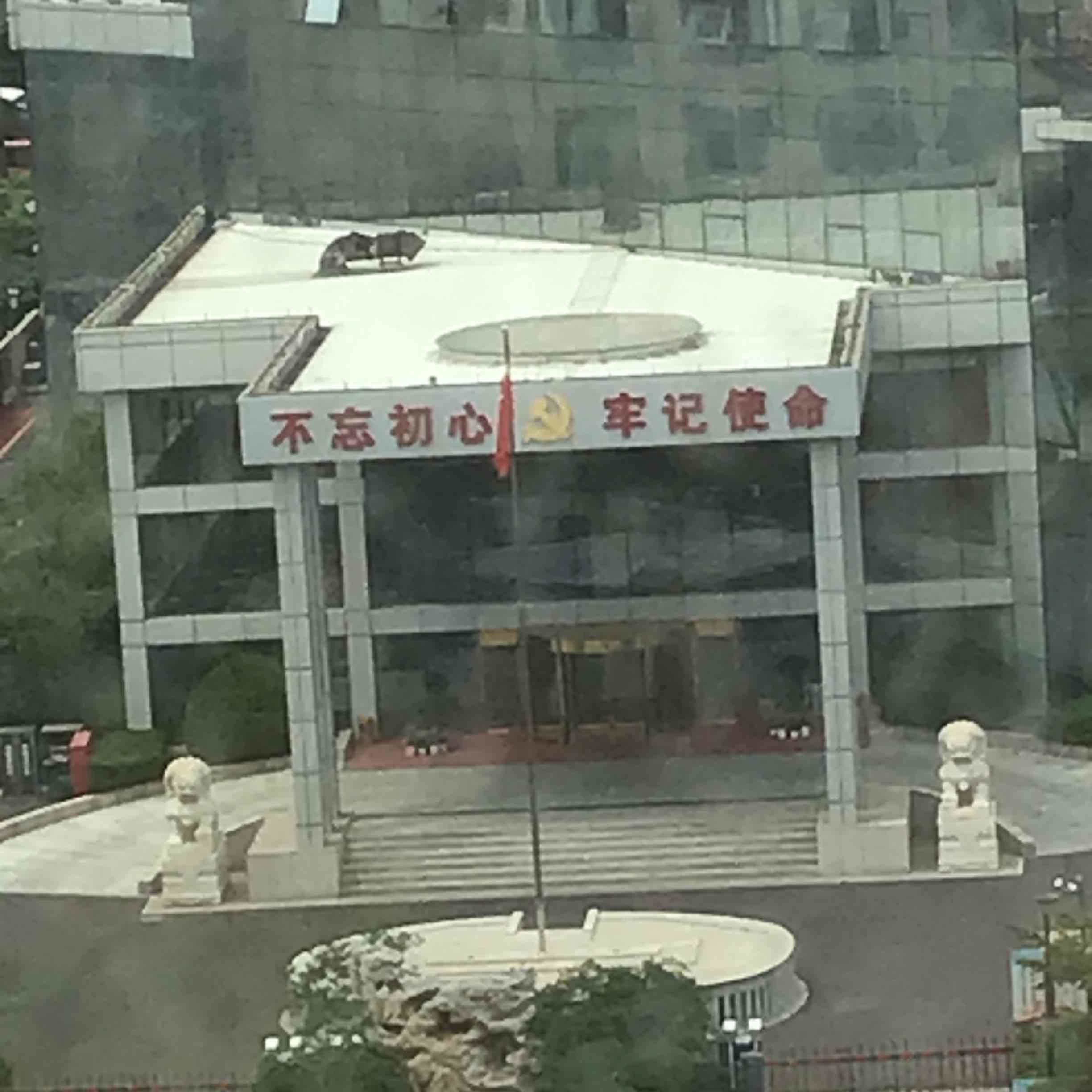 懒人783786232