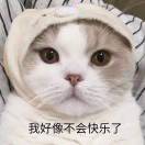 懒人784484850