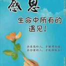 懒人785908721