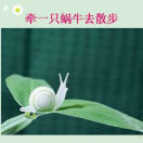 懒人786077578