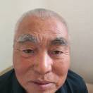 嗣树