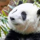 懒人791662626