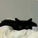 懒人795675087