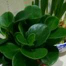 云朵牵挂。