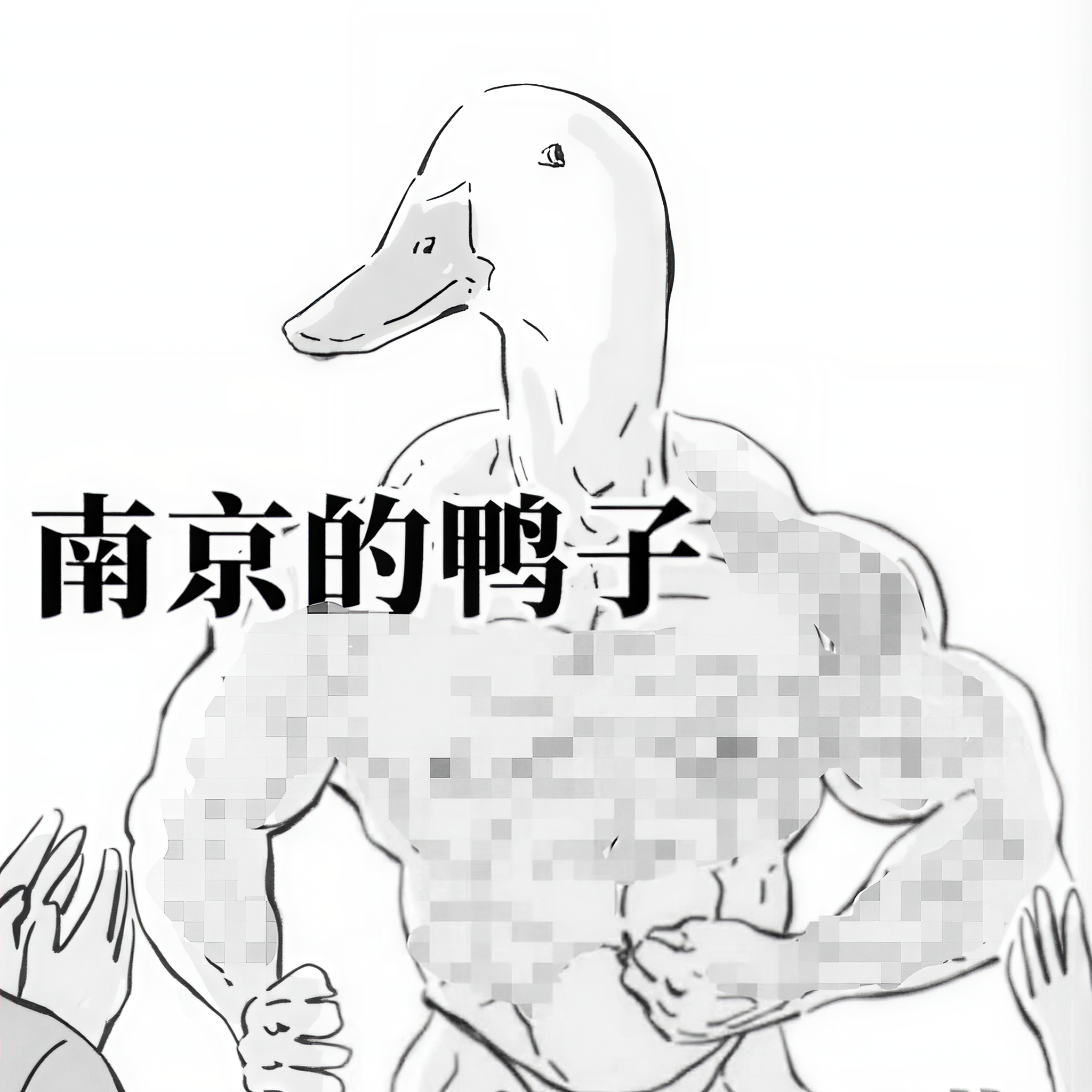 蓝鲸鸭子