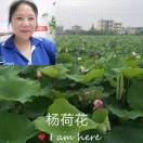 懒人796907228