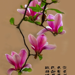 懒人79732875克勤克俭