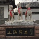 懒人801175373