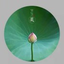 懒人801916382