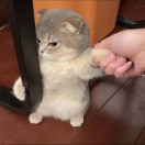 懒人801997744