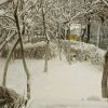 、м゛尐苯蛋