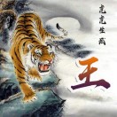 懒人803800153