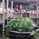 懒人804285842