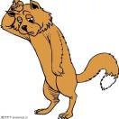 公四