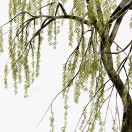 百货礼品批发