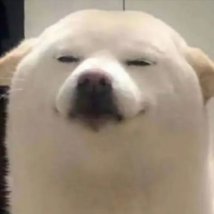 酷狗hhh