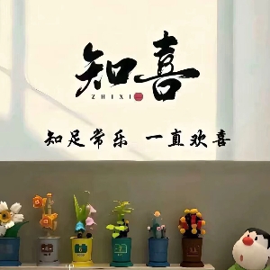 猫猫雪饼