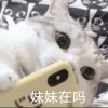 懒人864898695