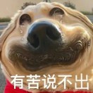 约