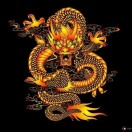 懒人871250960