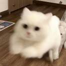 懒人871284875
