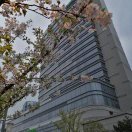 沉默是金华频