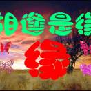 一生缘分