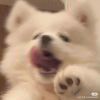 辭竹