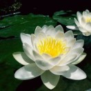 24小时