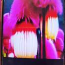 懒人878179248