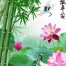 懒人878327243