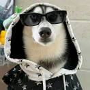 ᥫᩣ不黎Ծ^O^Ծᰔ ᩚ不弃zZᶻ