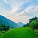 艾心寶寶(灸療師·健康管理師)