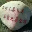 军哥嘹亮