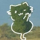 没猫的野人