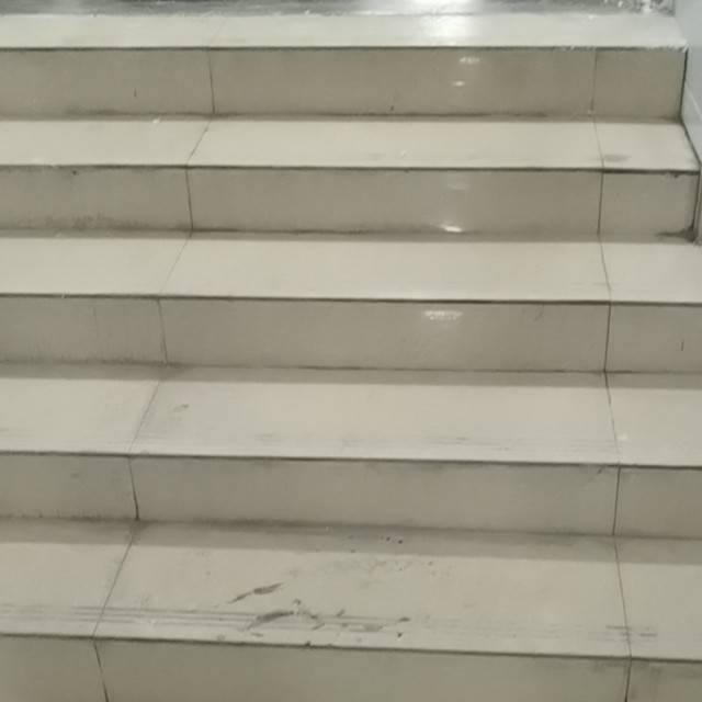 真真阳