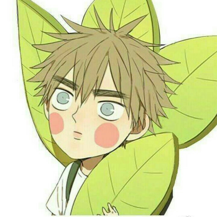家芮