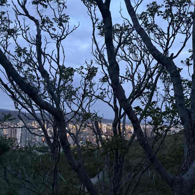 幻踪