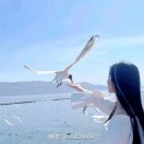 懒人912448665