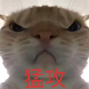 小-灰灰