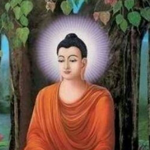懒人921520312