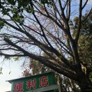 海岸不回头