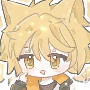 猫小九爱粉
